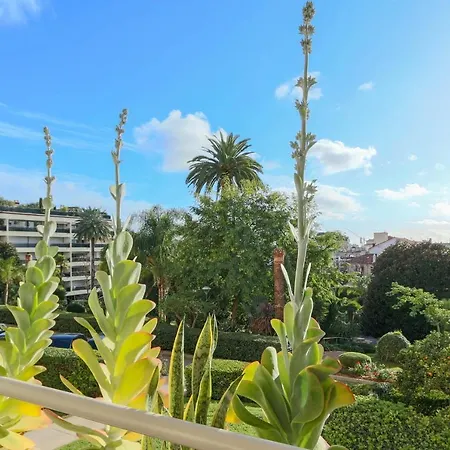 Beautiful Renovated With Ac And Terrace - Benakey *